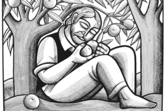 Orchards & Apples Orchards & Apples