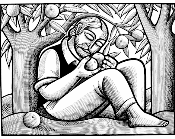 Orchards & Apples