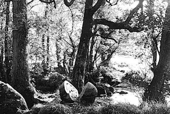 Sculpture, community, land 