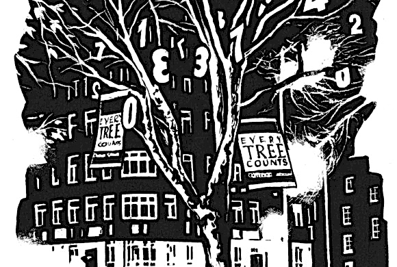 Trees & Woods Trees & Woods