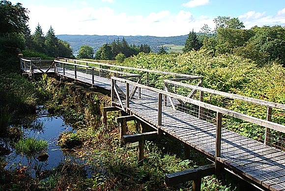Blarbuie Woodland Blarbuie Woodland