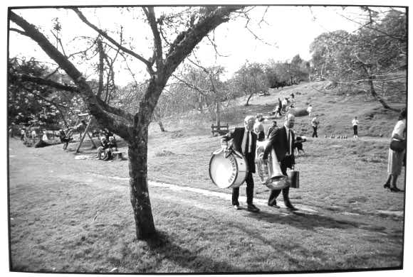 A Manifesto for Trees A Manifesto for Trees