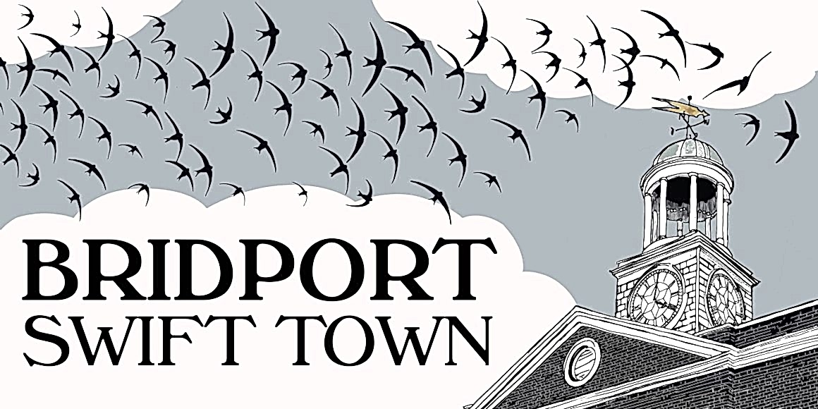 Swift Towns