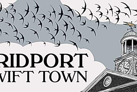 Swift Towns