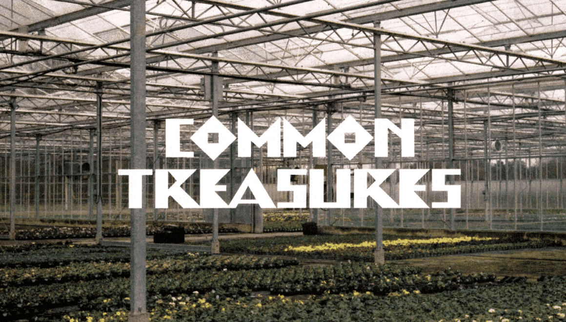 Common Treasures
