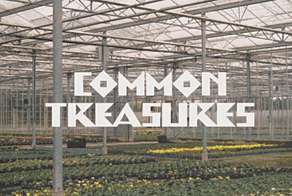 Common Treasures